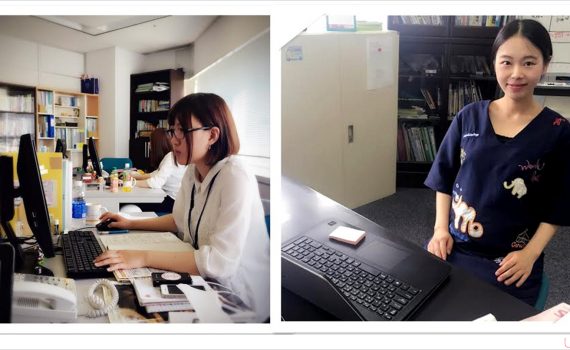 新しい投稿がありました！